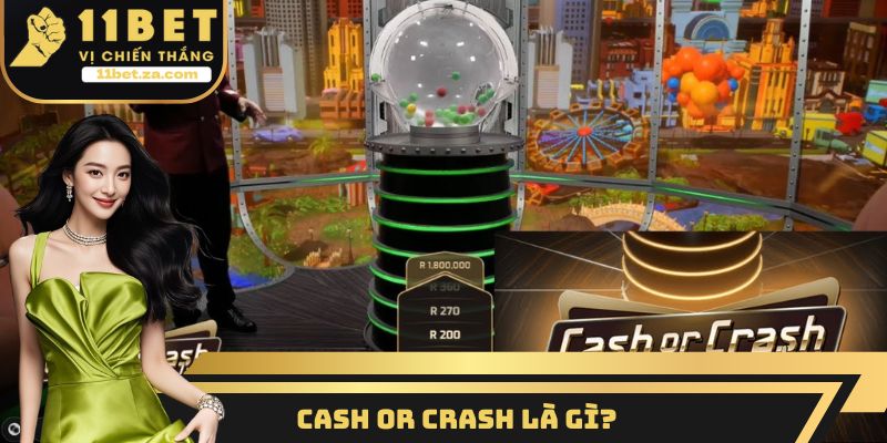 Cash or Crash là gì?