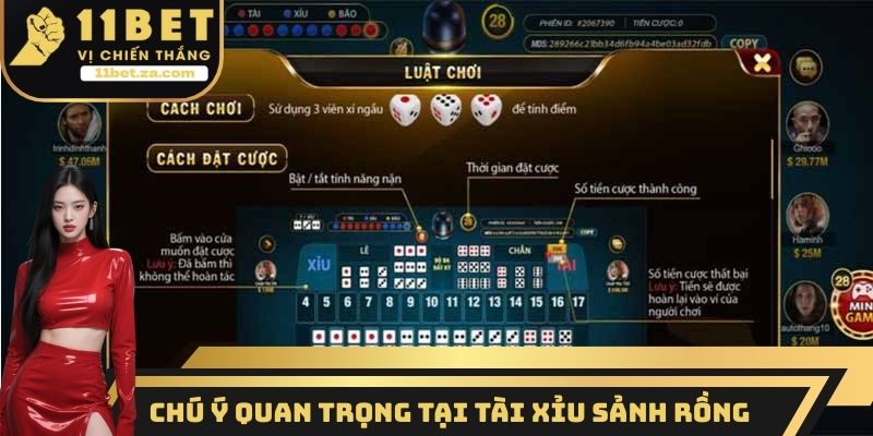 Chú ý quan trọng tại tài xỉu sảnh rồng