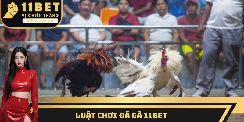 Luật chơi đá gà 11BET